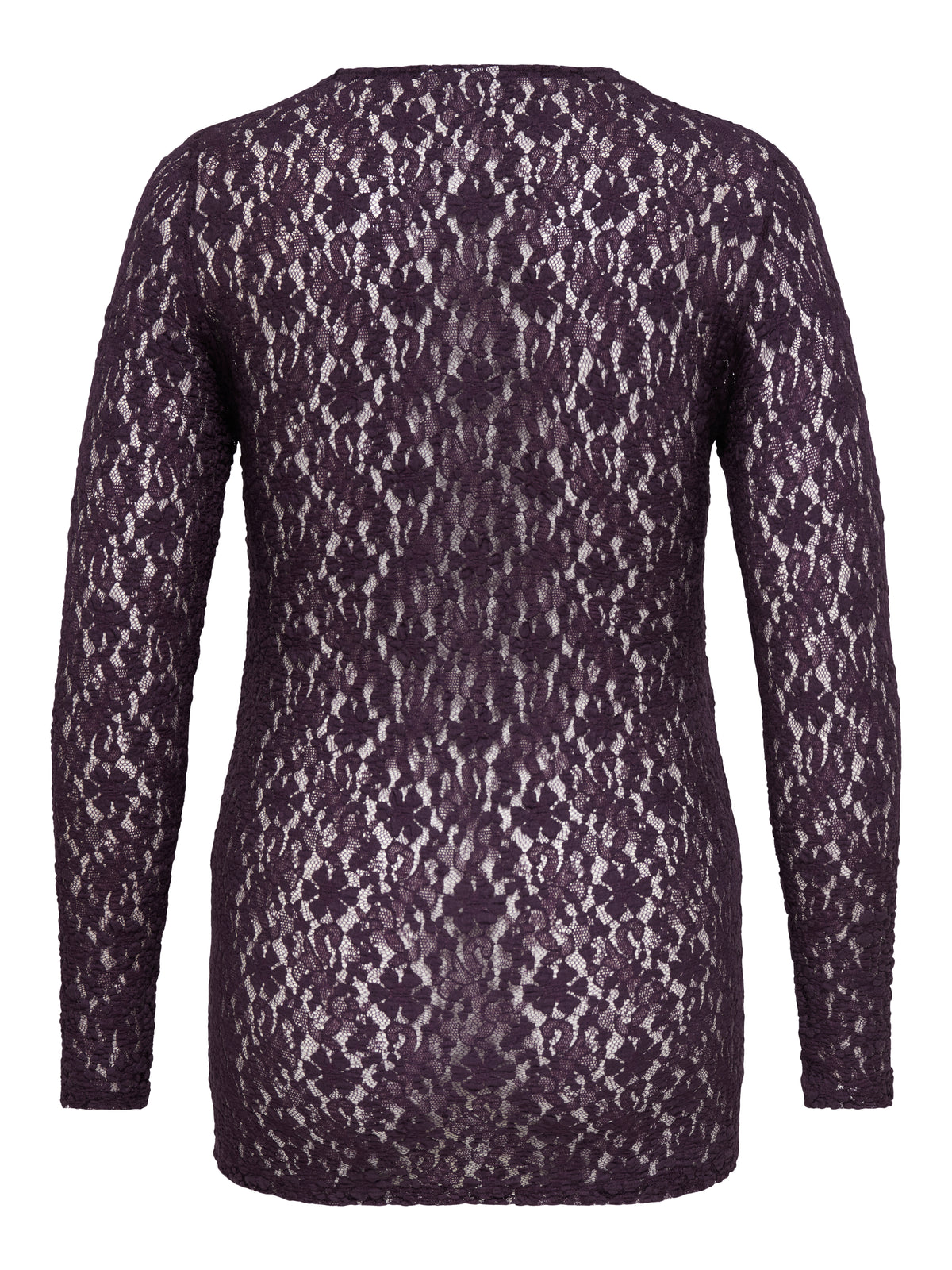Carmakoma CARYRSA L/S LACE TOP JRS Paars - OAK Fashion Noordwolde