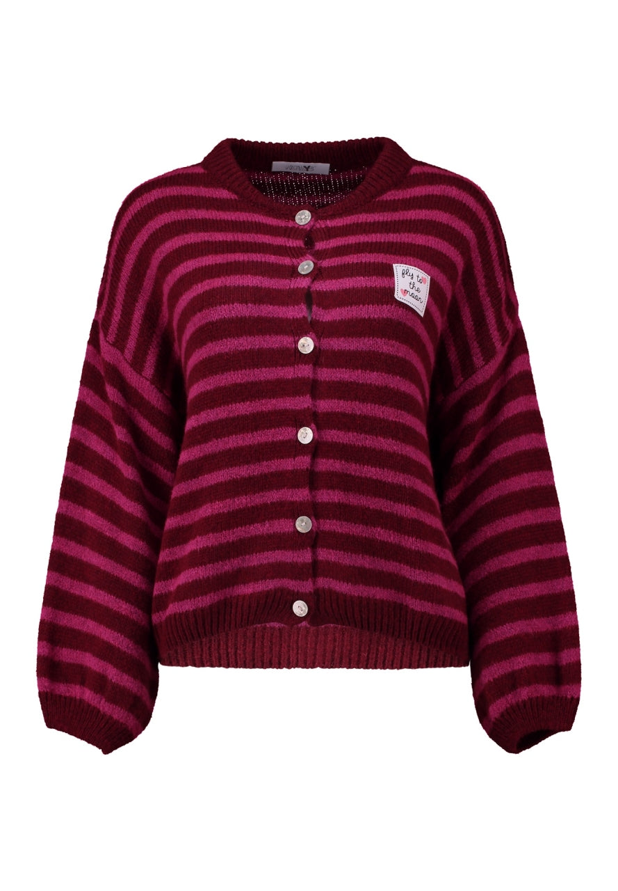Haily's Vest Ava Roze - OAK Fashion Noordwolde