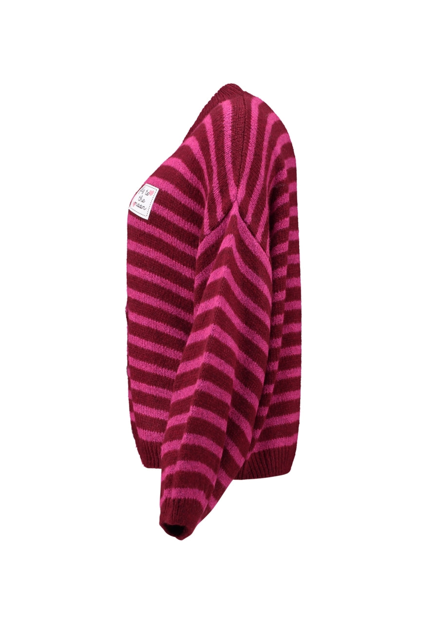Haily's Vest Ava Roze - OAK Fashion Noordwolde