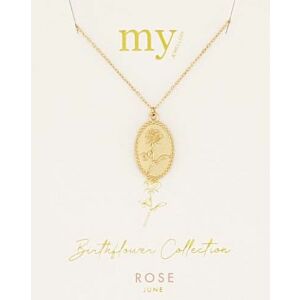 Birthflower Ketting Juni