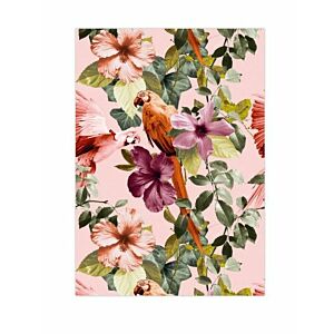 Poster A5 Papagaaien & Bloemen