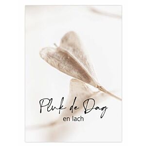 Poster A5 Pluk de dag en lach